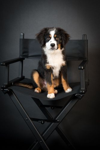 studio Photo